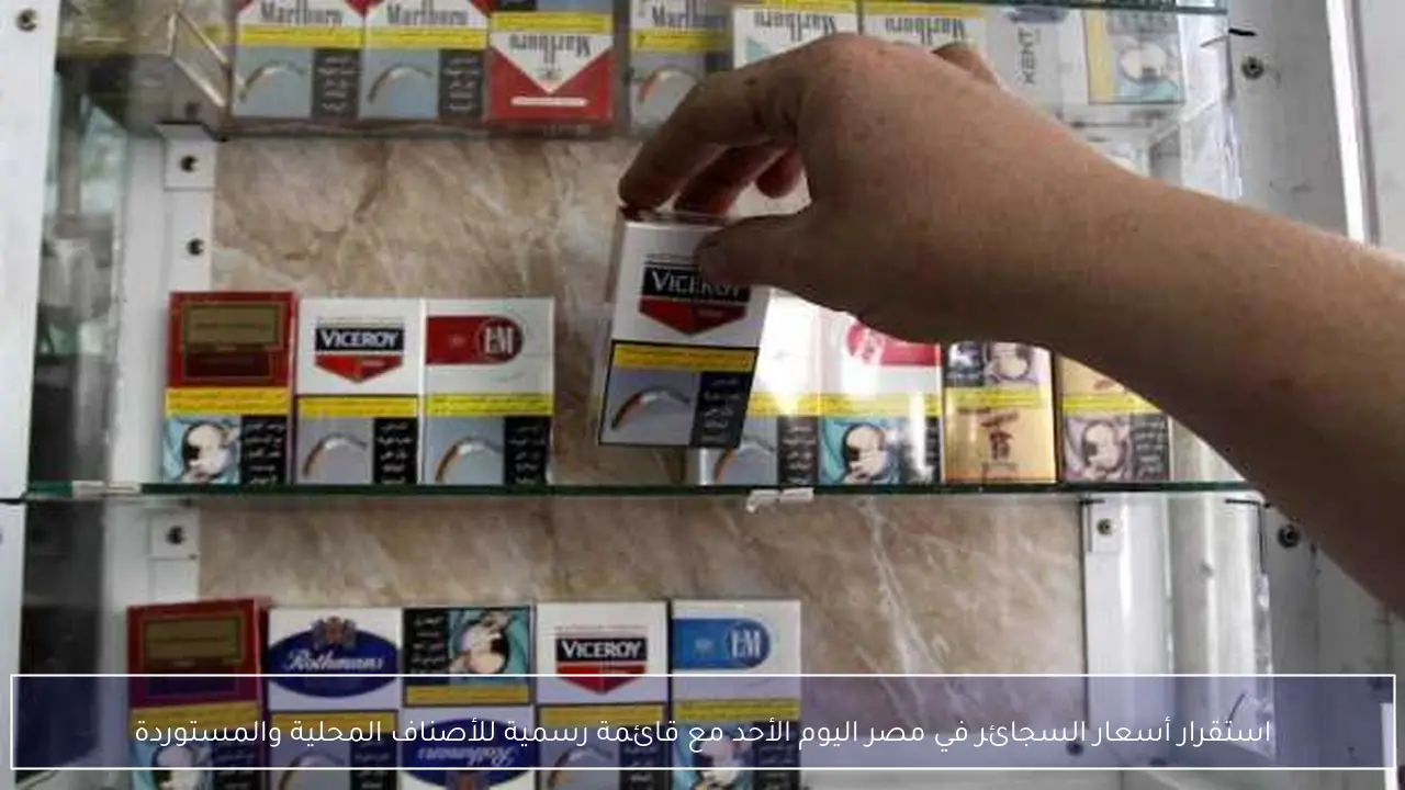 استقرار أسعار السجائر في مصر اليوم الأحد مع قائمة رسمية للأصناف المحلية والمستوردة