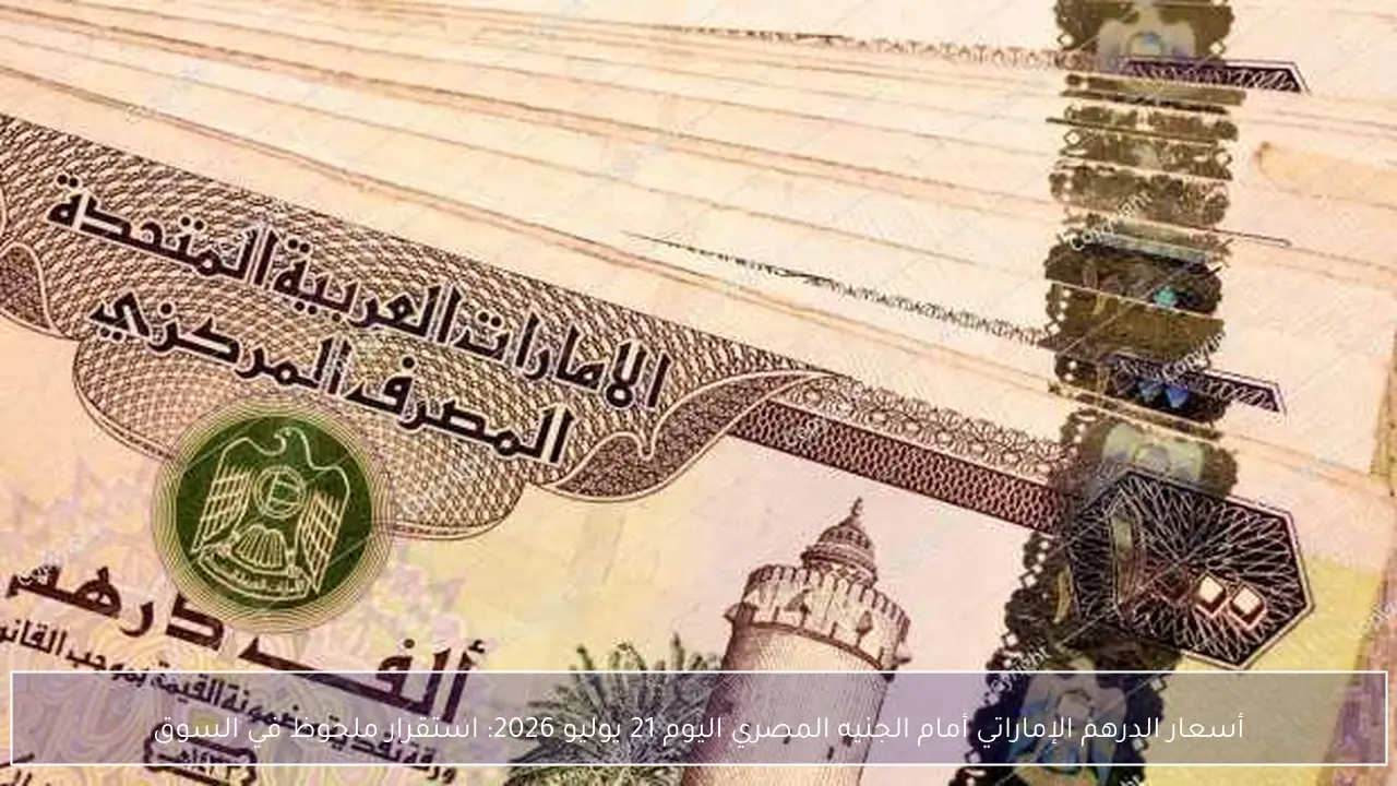 أسعار الدرهم الإماراتي أمام الجنيه المصري اليوم 21 يوليو 2026: استقرار ملحوظ في السوق