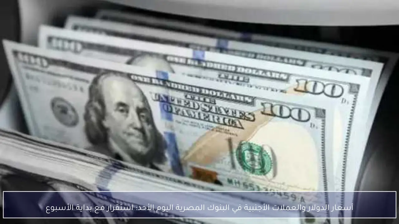 أسعار الدولار والعملات الأجنبية في البنوك المصرية اليوم الأحد: استقرار مع بداية الأسبوع