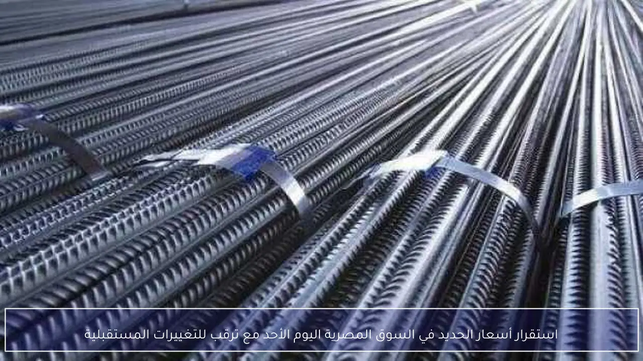 استقرار أسعار الحديد في السوق المصرية اليوم الأحد مع ترقب للتغييرات المستقبلية